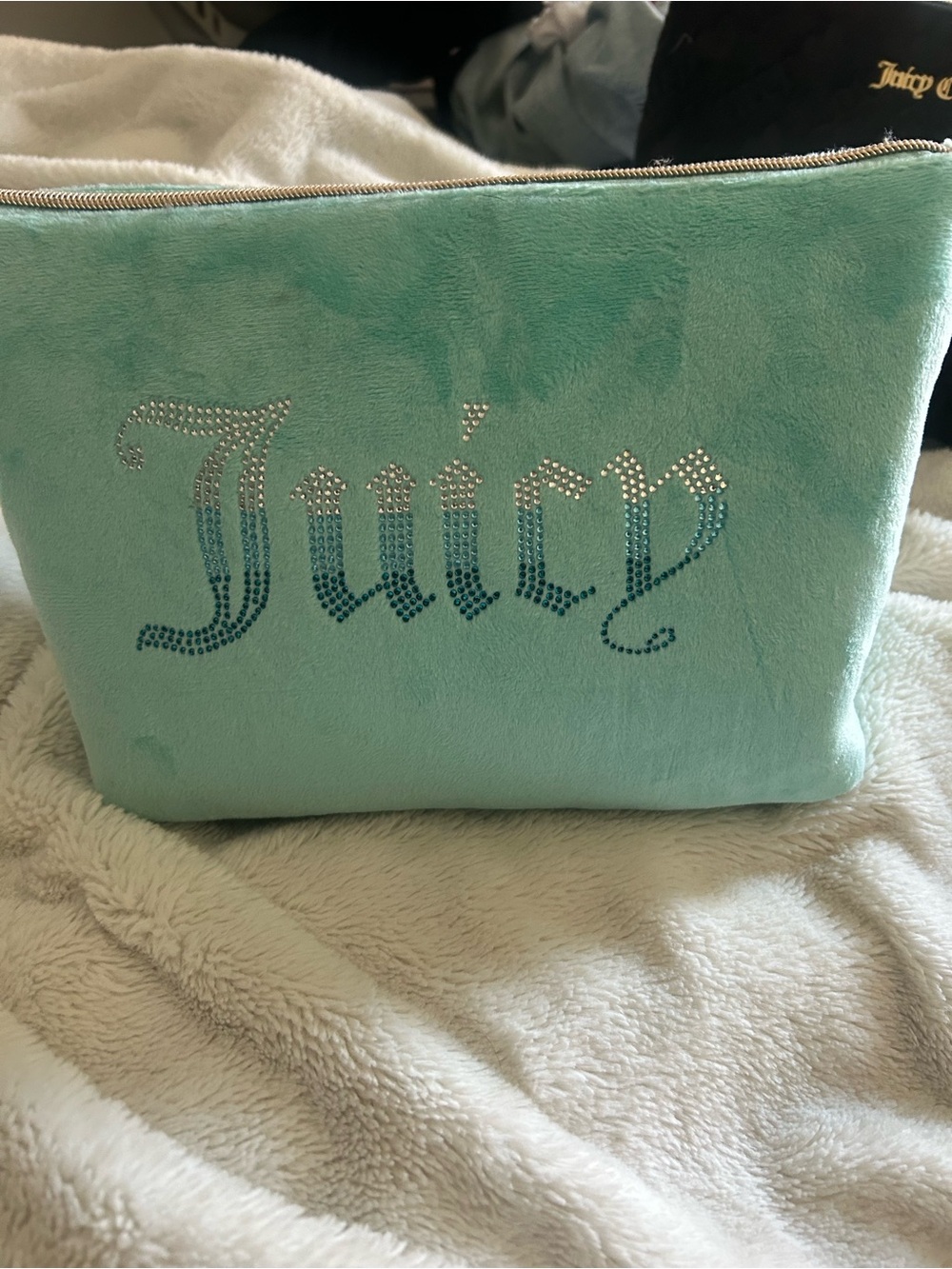 Juicy Couture Mint Velour Cosmetic Pouch with Rhinestone Logo